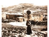 In the Arab village of Sebastieh, built on part of the site of the city of Samaria stands the shell of a cathedral erected by the Crusaders in honour of St. John the Baptist.